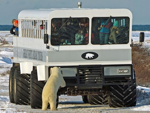 Самый странный общественный транспорт